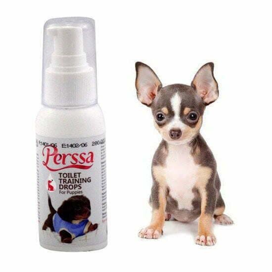 اسپری تعلیم ادرار سگ