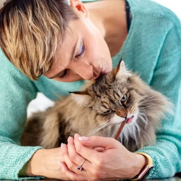 تشویقی مدادی گربه وینستون