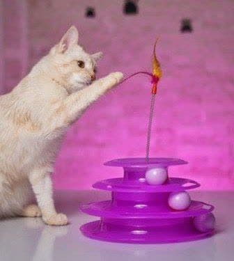 اسباب بازی گربه مدل یونیورس