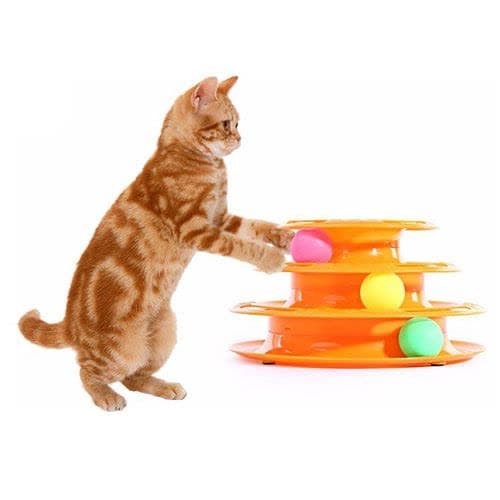 اسباب بازی گربه مدل یونیورس