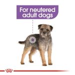 غذای خشک سگ مینی استرلایز رویال کنین (عقیم شده) Royal Canin Mini Sterilised