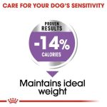 غذای خشک سگ مینی استرلایز رویال کنین (عقیم شده) Royal Canin Mini Sterilised