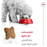 غذای خشک سگ مینی ادالت رویال کنین 2 کیلوگرمی