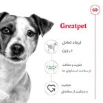 غذای خشک سگ مینی ادالت رویال کنین 2 کیلوگرمی