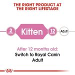 غذای بچه گربه رویال کنین royal canin kitten dry 2