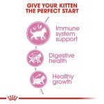 غذای بچه گربه رویال کنین royal canin kitten dry 2