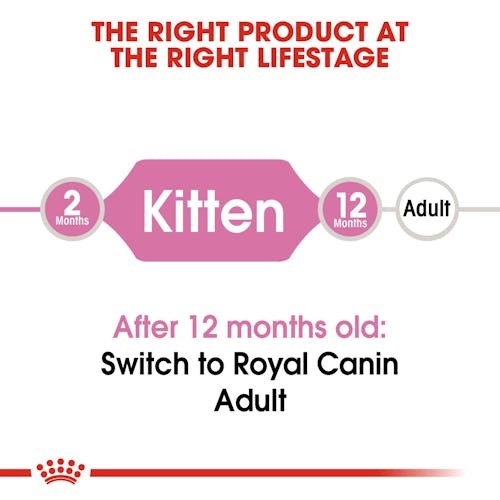 غذای بچه گربه رویال کنین royal canin kitten dry 2