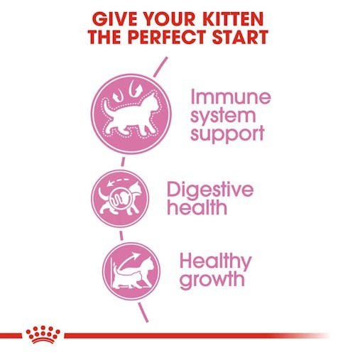 غذای بچه گربه رویال کنین royal canin kitten dry 2