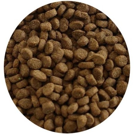 غذای خشک گربه رفلکس پلاس مدل Reflex Plus Choosy